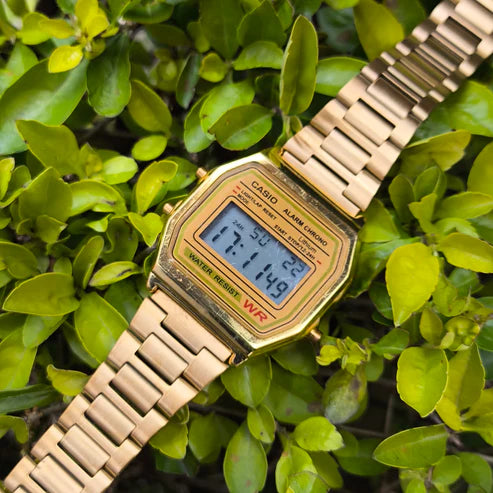 CASIO VINTAGE PARA 1.0 REF-D